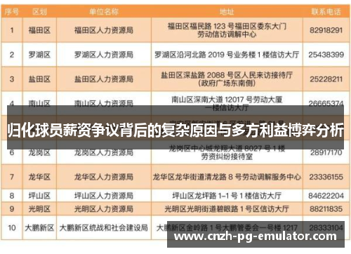 归化球员薪资争议背后的复杂原因与多方利益博弈分析 归化球员薪资争议背后的复杂原因与多方利益博弈分析