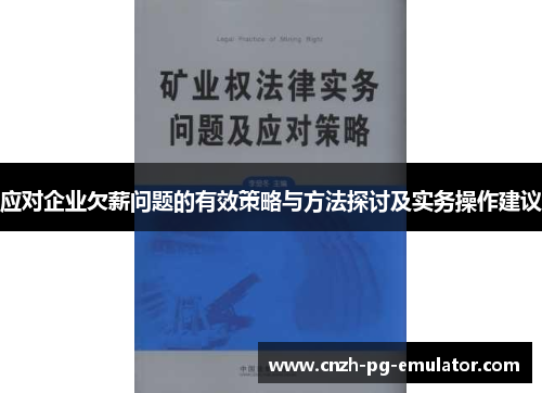 应对企业欠薪问题的有效策略与方法探讨及实务操作建议