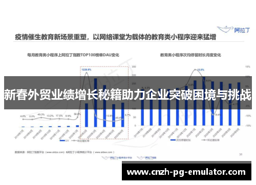 新春外贸业绩增长秘籍助力企业突破困境与挑战