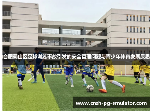 合肥蜀山区足球训练事故引发的安全管理问题与青少年体育发展反思