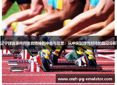 辽宁球迷事件对体育精神的冲击与反思：从冲突到理性对待的路径分析