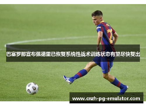 巴塞罗那宣布佩德里已恢复系统性战术训练状态有望尽快复出 巴塞罗那宣布佩德里已恢复系统性战术训练状态有望尽快复出