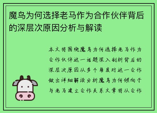 魔鸟为何选择老马作为合作伙伴背后的深层次原因分析与解读 魔鸟为何选择老马作为合作伙伴背后的深层次原因分析与解读